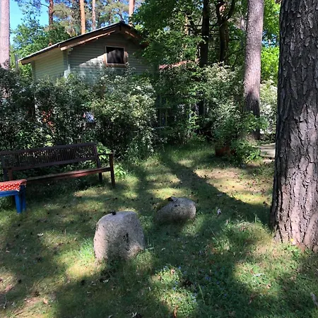 Apartment Haus Im Grunen Wildpark Schwielowsee